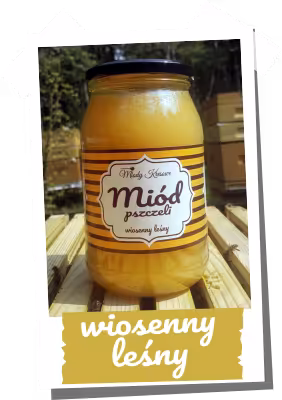 Miód wiosenny leśny