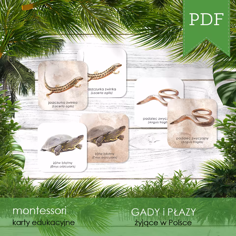 Gady i płazy Polski - Karty edukacyjne