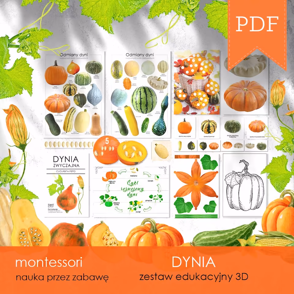Dynie - Zestaw edukacyjny 3D