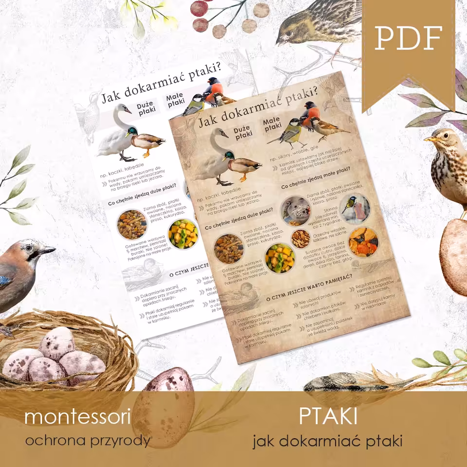 Ptaki - Jak dokarmiać ptaki
