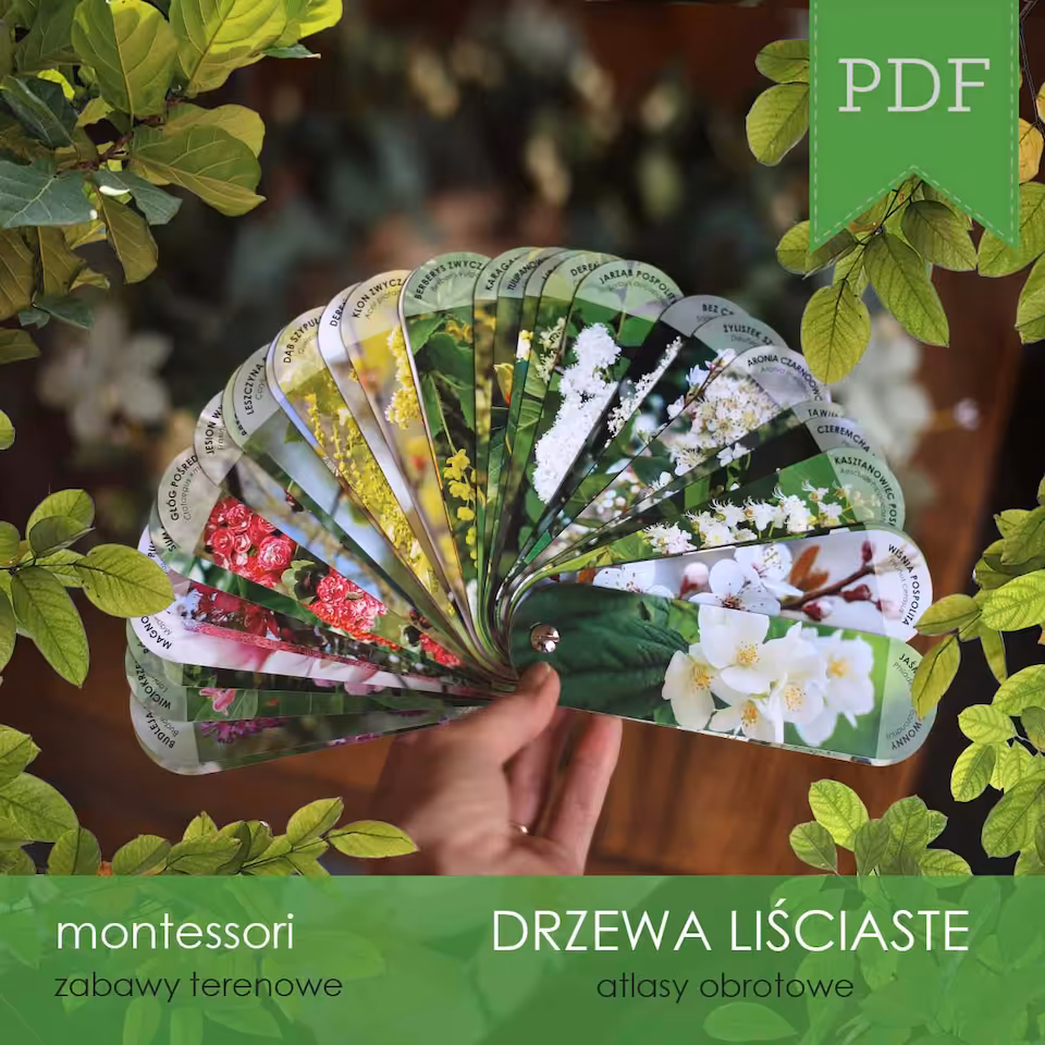 Las - Atlas drzew i krzewów kwitnących