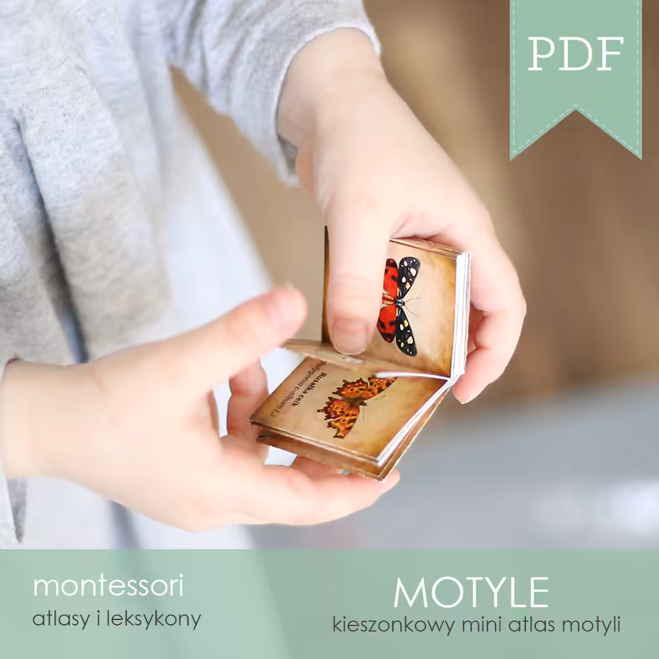 Motyle - Mini leksykon motyli