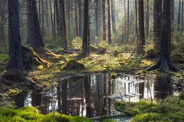 Marsz katorżnika