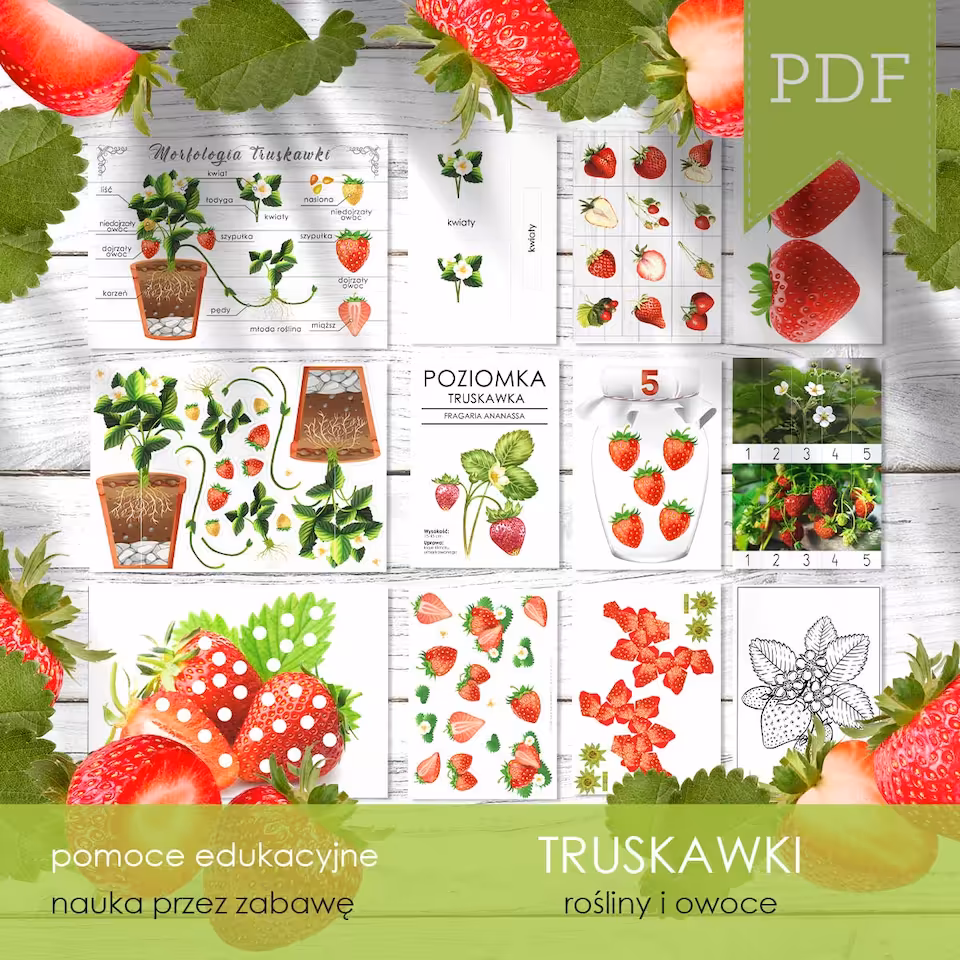 Truskawki - Zestaw edukacyjny 3D