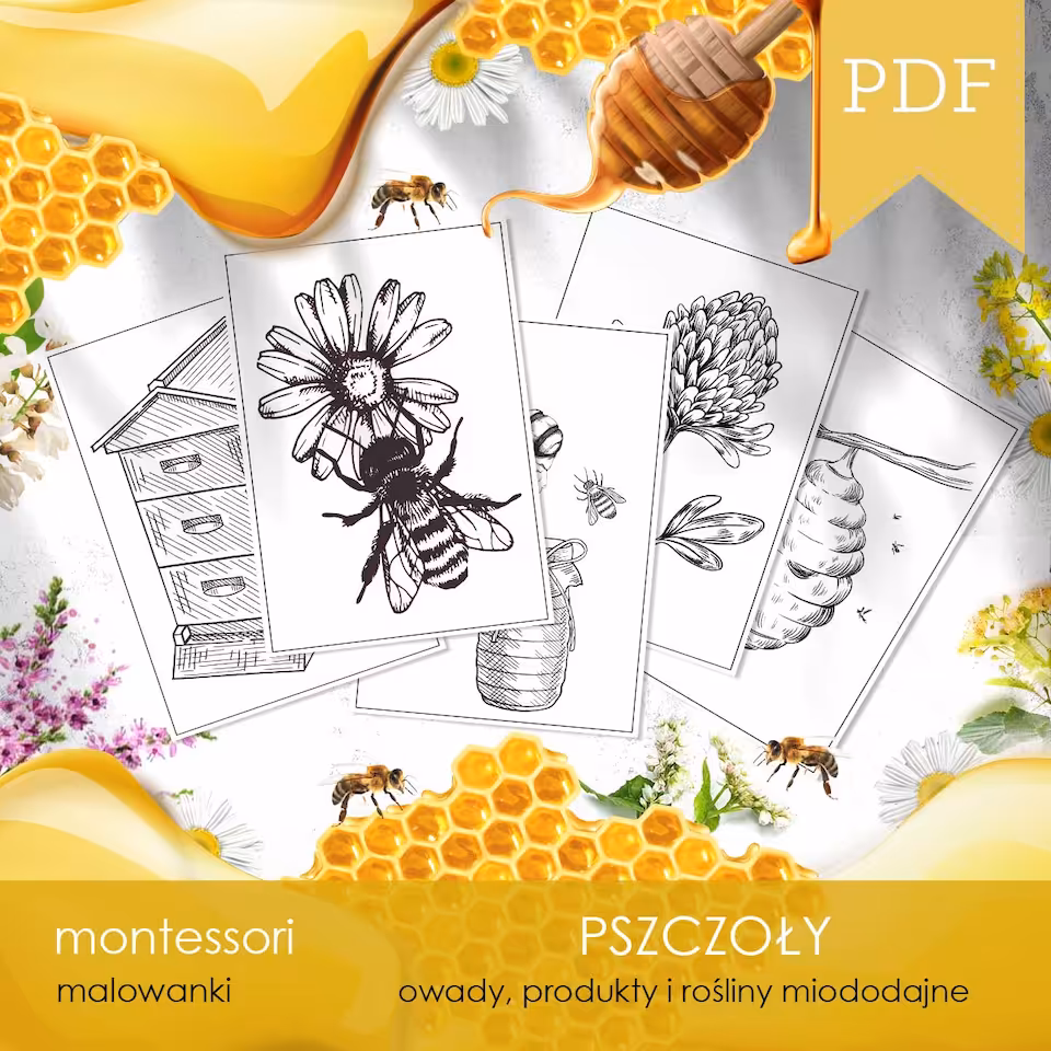 Pszczoły - Malowanki