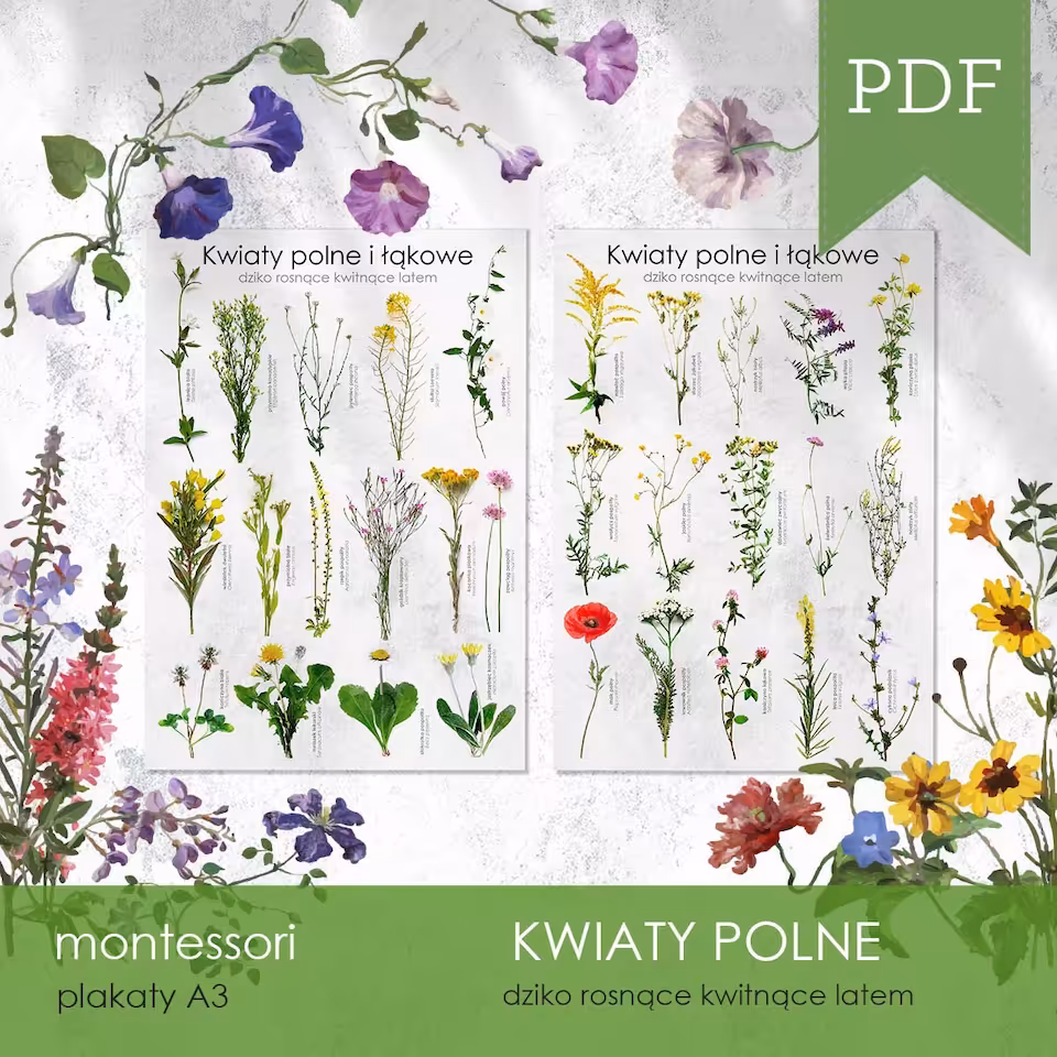 Kwiaty polne - Plakaty