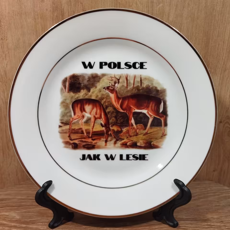 Talerz Sarnodzieło W Polsce jak w lesie