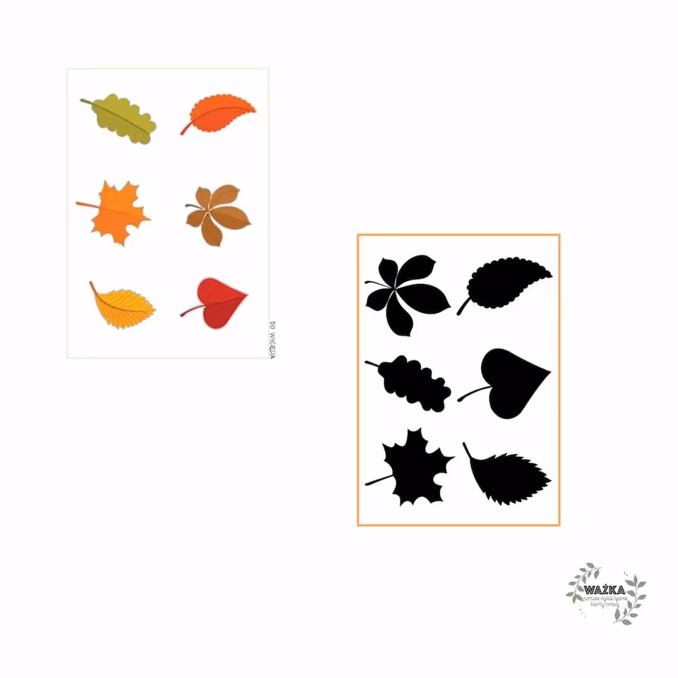 Cienie - Książeczka manipulacyjna