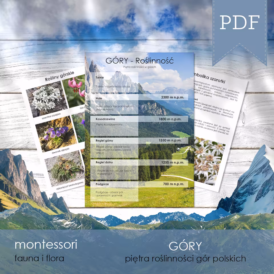 Góry - Piętra roślinności w górach