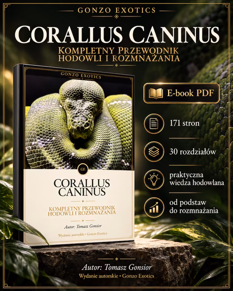 CORALLUS CANINUS - Kompletny przewodnik hodowli i rozmnażania