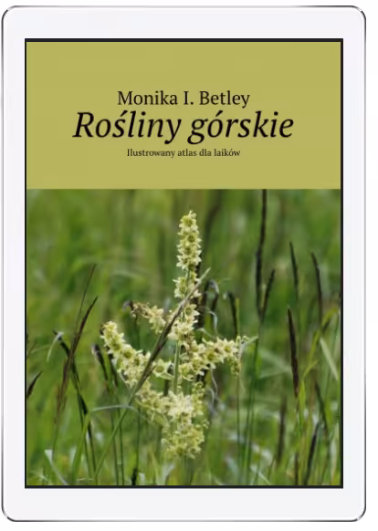 Rośliny górskie - Ilustrowany atlas dla laików EPUB MOBI PDF FB2. Główne formaty na większość czytników. Dokładniejszy opis: KLIK