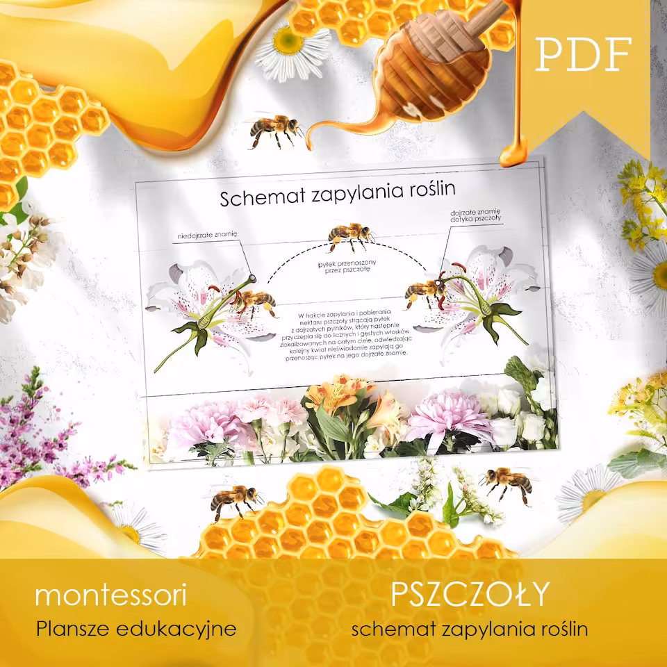 Pszczoły - Schemat zapylania roślin