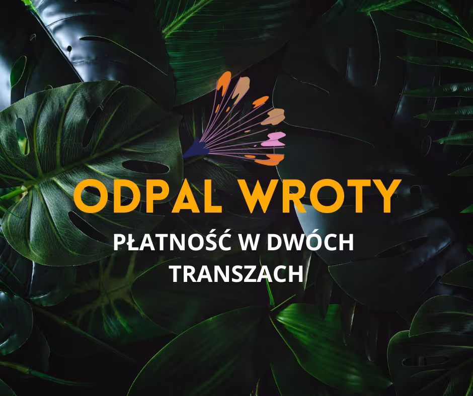 ODPAL WROTY - MENTORING 2 TRANSZE
