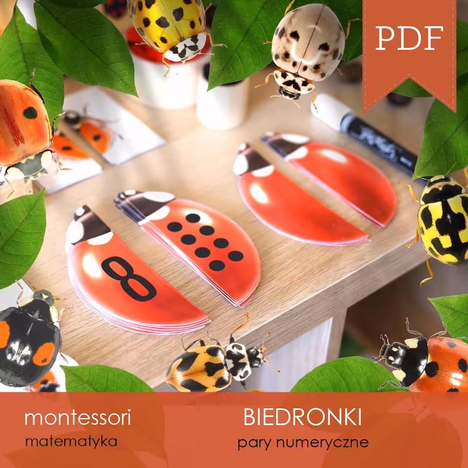 Biedronki - Połówki