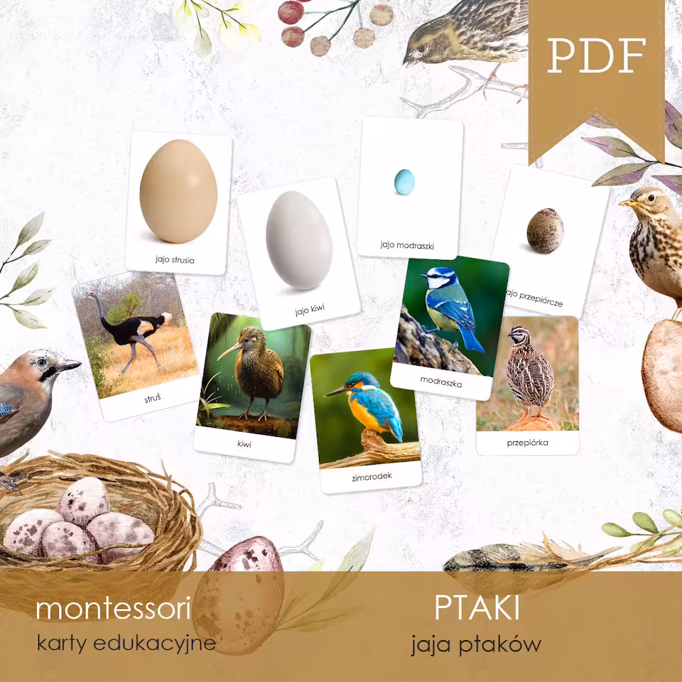 Ptaki - Jaja - Karty edukacyjne