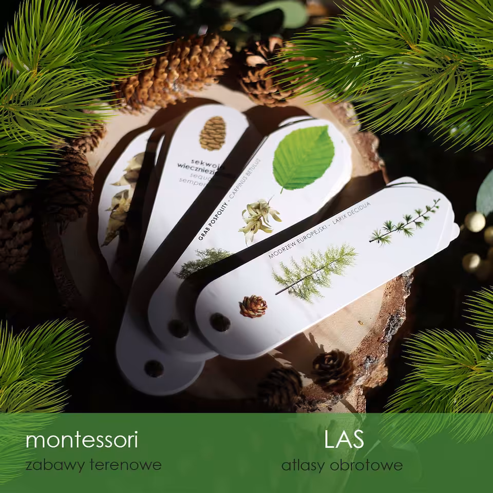 Las - Zestaw 3 leśnych atlasów obrotowych