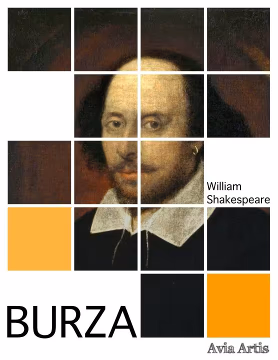 Burza (epub)