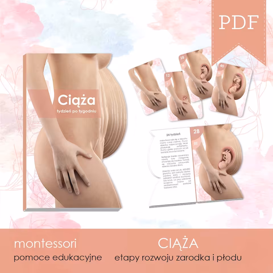 CIĄŻA - Etapy ciąży - Karty i książeczka