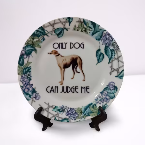 Talerz ceramiczny Sarnodzieło 20 cm Only Dog Can Judge Me