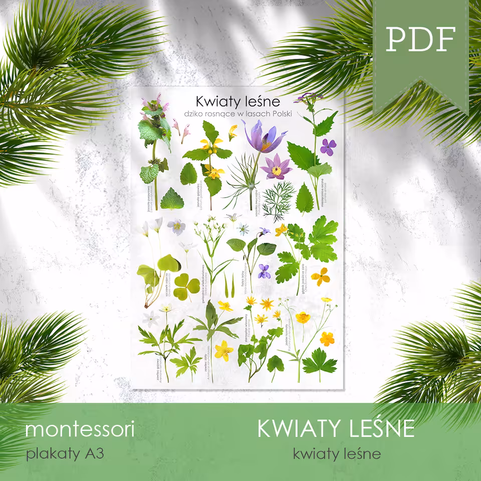 Las - Kwiaty leśne - Plakat i sorter