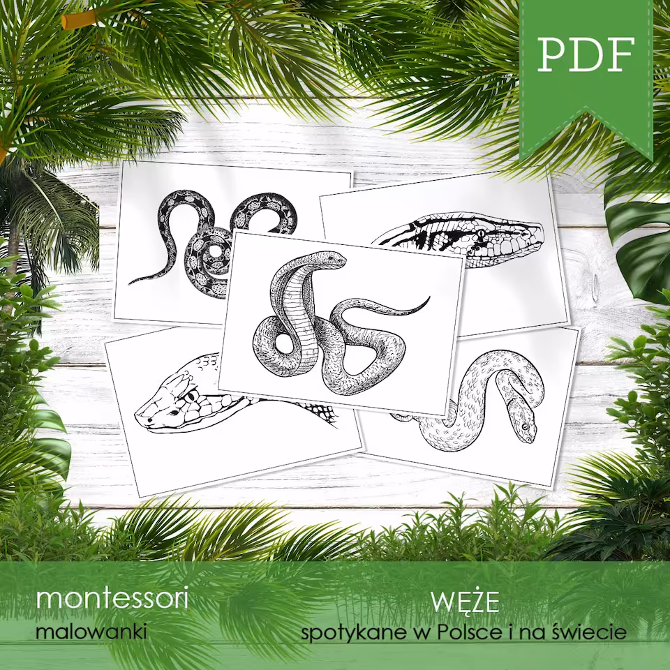 Węże - Malowanki