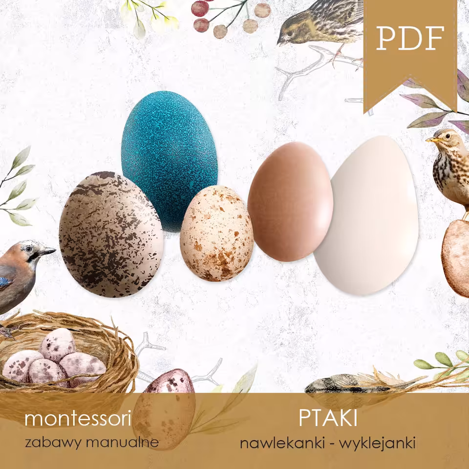 Ptaki - Jaja - Nawlekanki