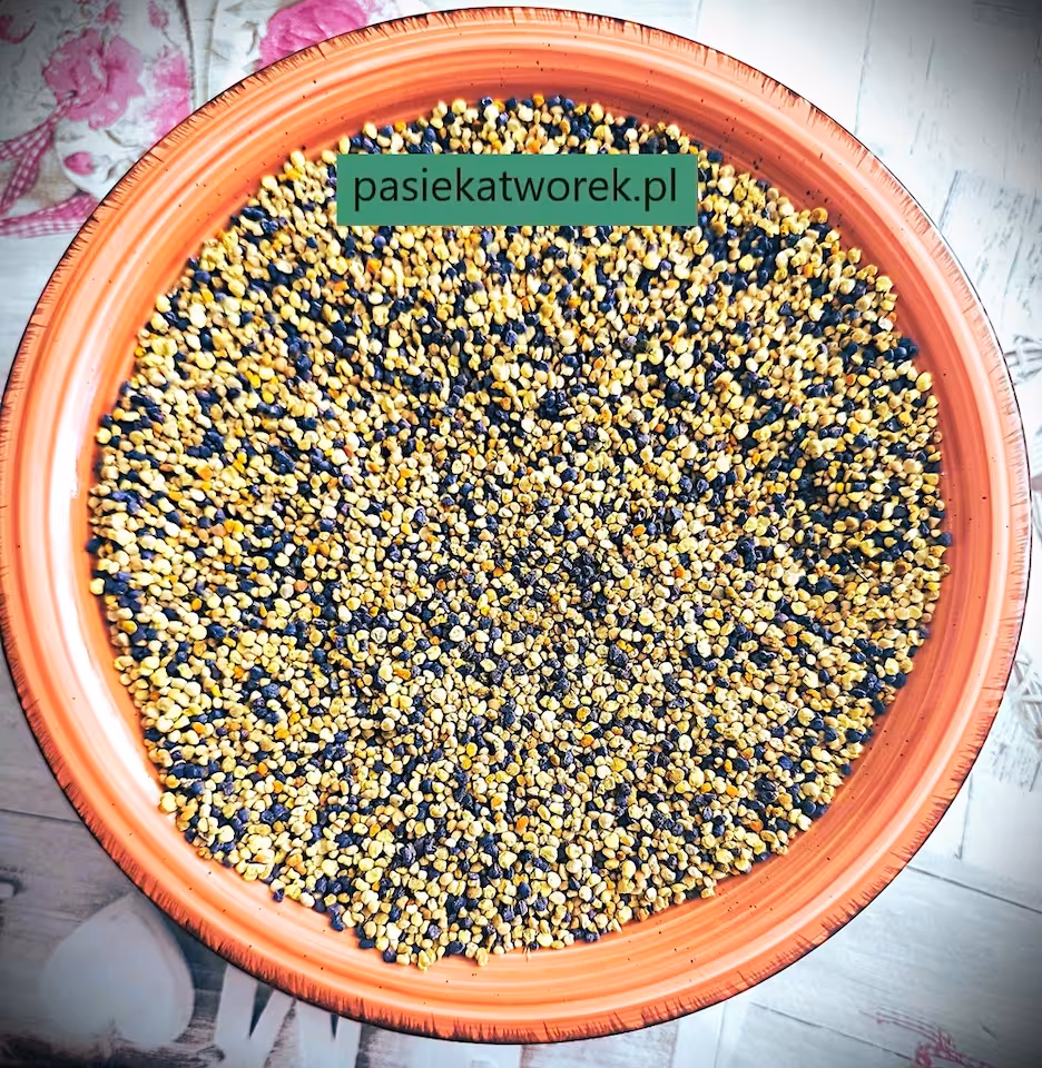Pyłek kwiatowy 1,00 kg Partia P 01-07-2025