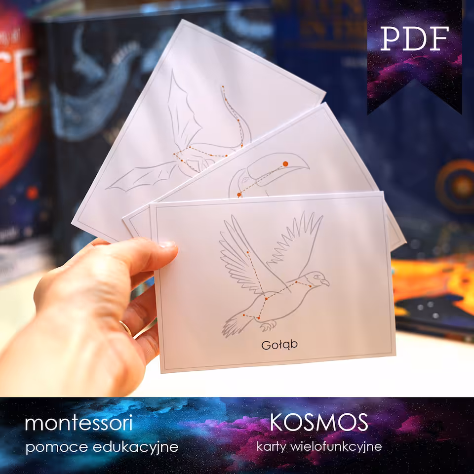 Kosmos - Gwiazdy - Karty z gwiazdozbiorami