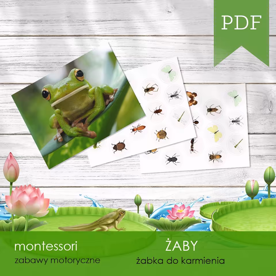 Żaby - Żabka do karmienia