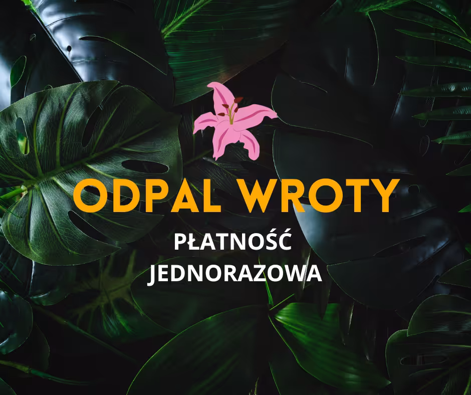 ODPAL WROTY - MENTORING