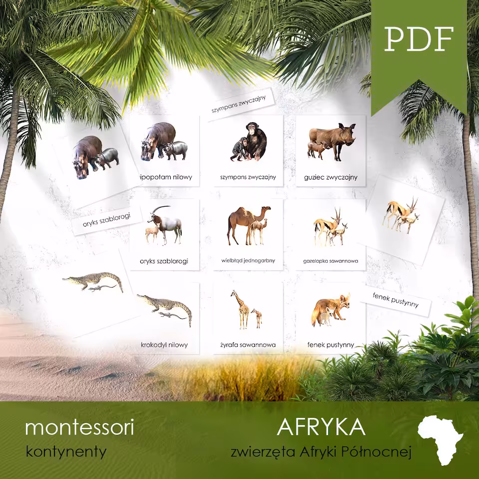 Afryka - Karty edukacyjne trójdzielne