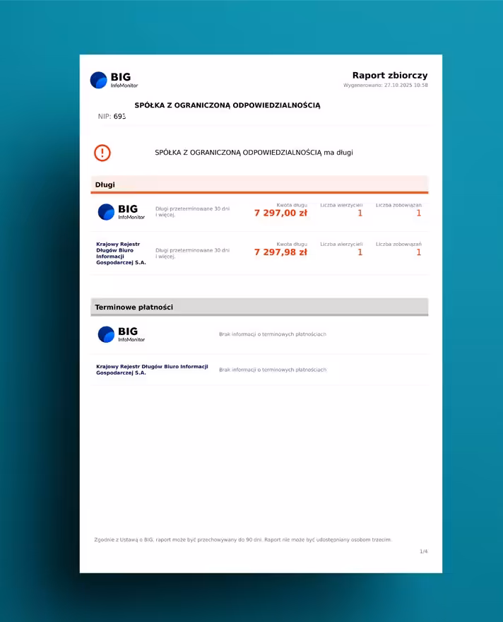 Raport zbiorczy z BIG rozszerzony