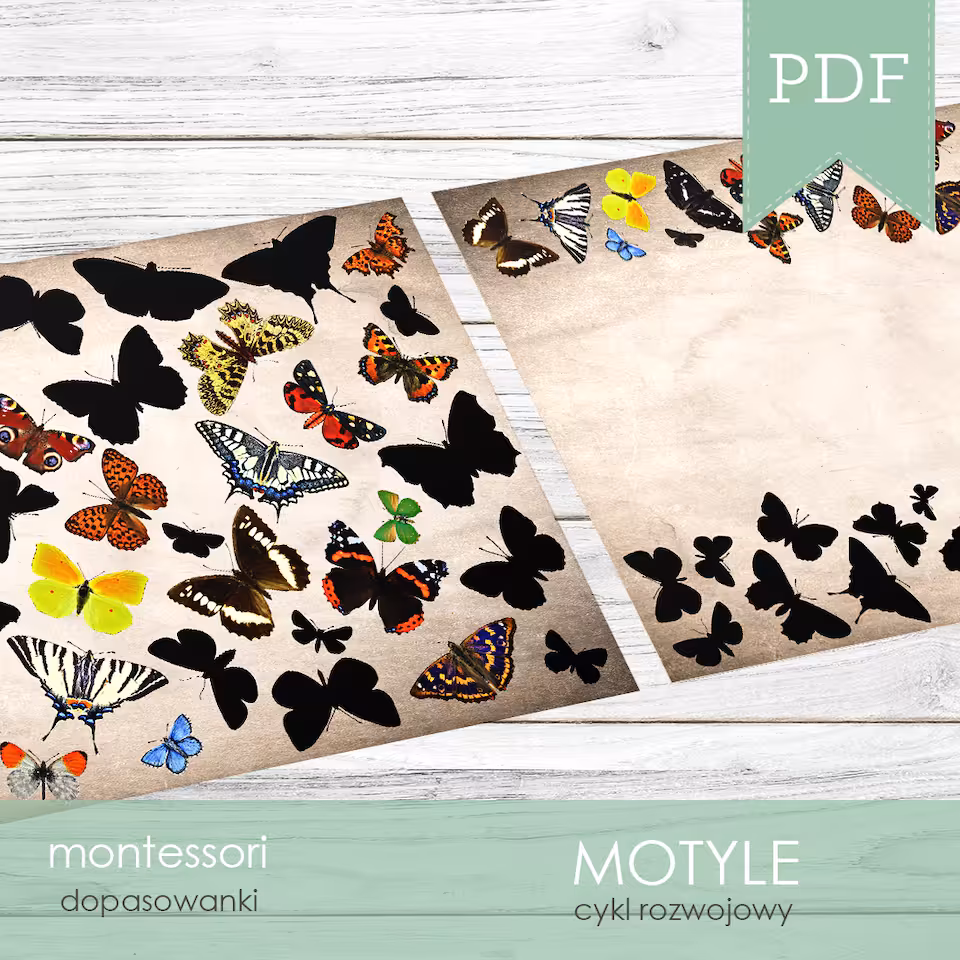 Motyle - Dopasuj cienie