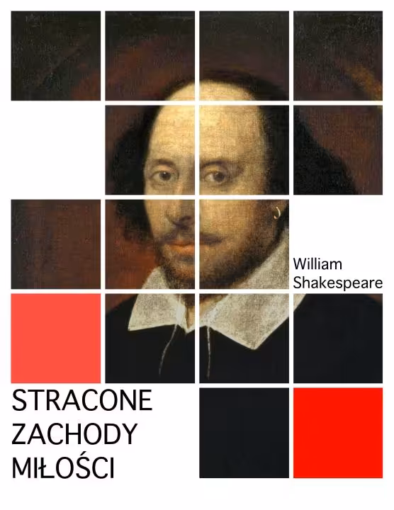 Stracone zachody miłości (epub)