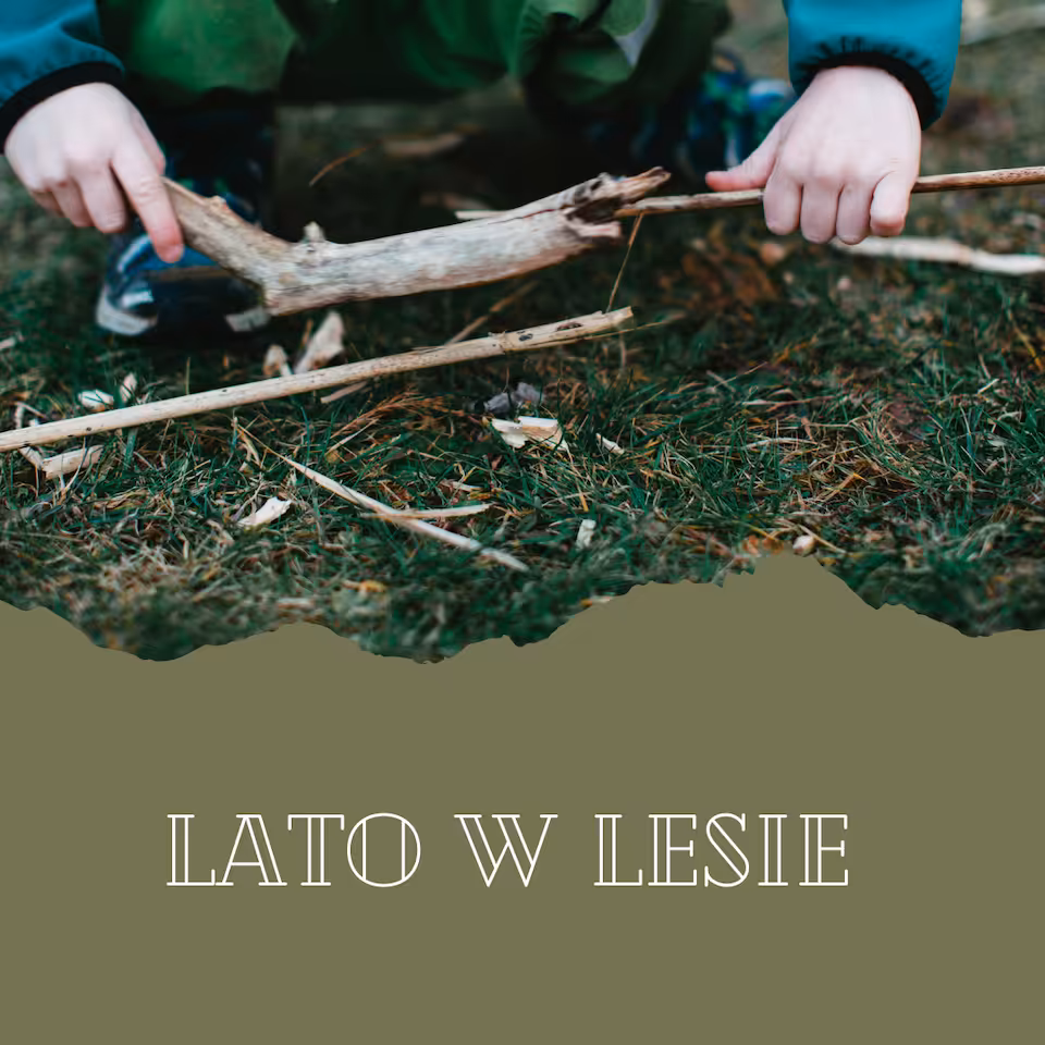 Wakacje w lesie