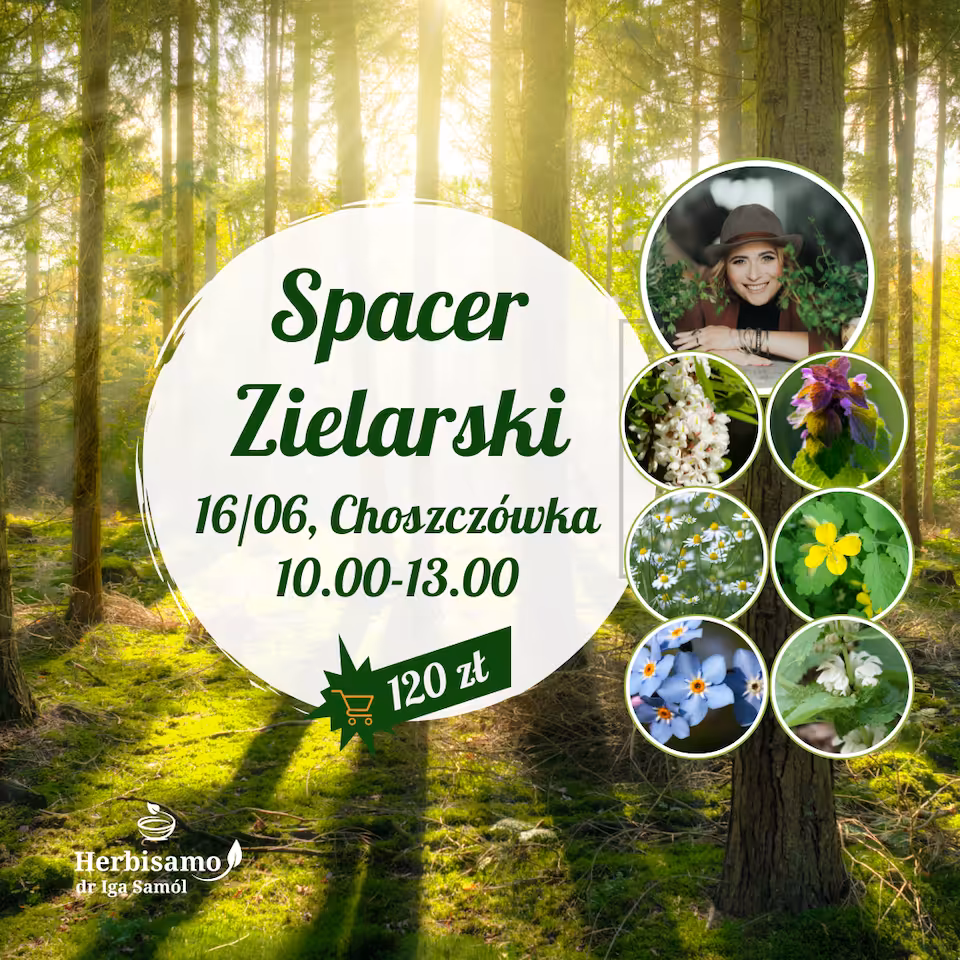 Spacer Zielarski - 16/06