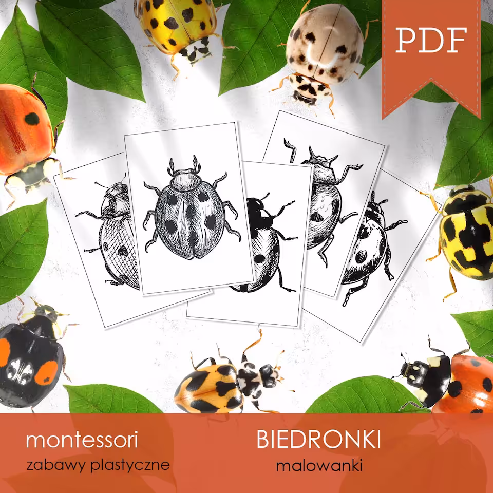 Biedronki - Malowanki