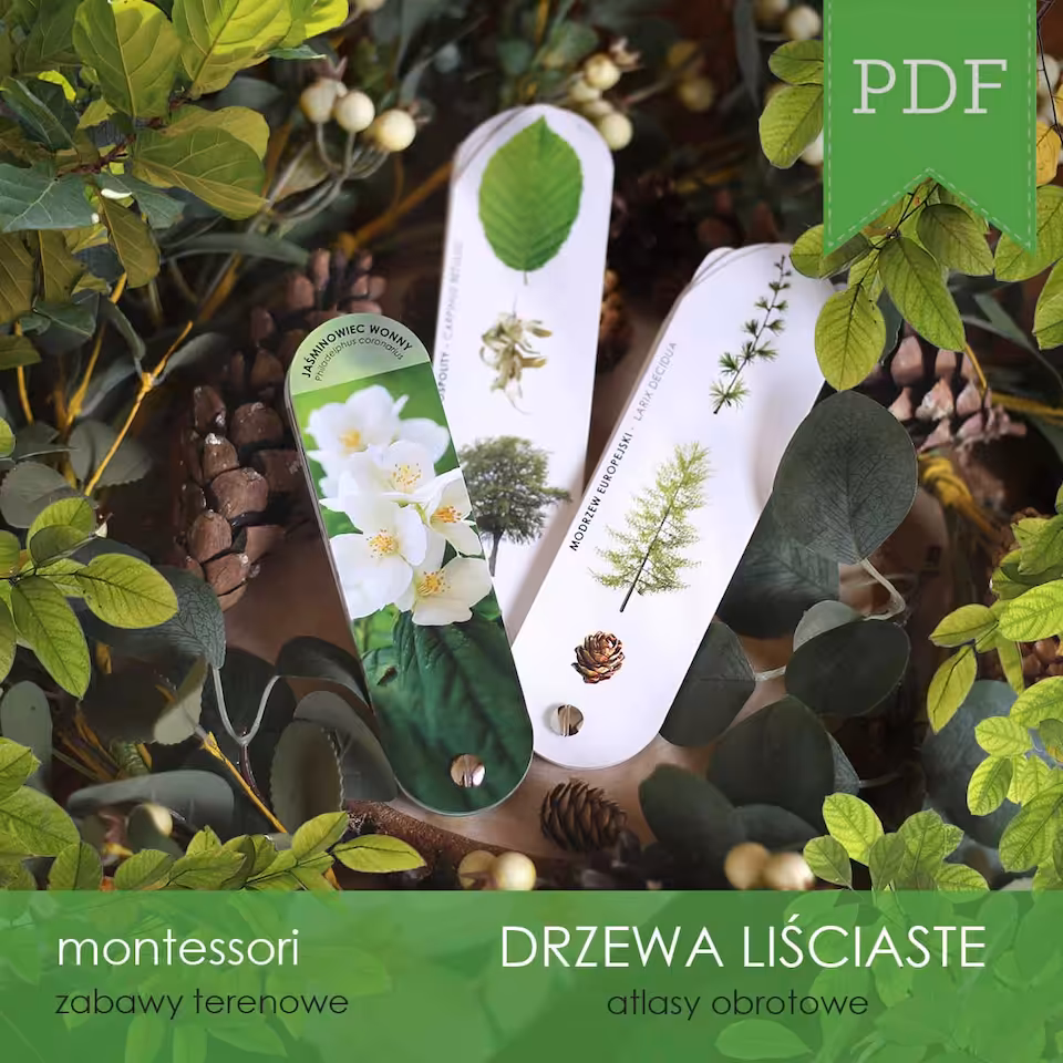 Las - 3 Atlasy drzew