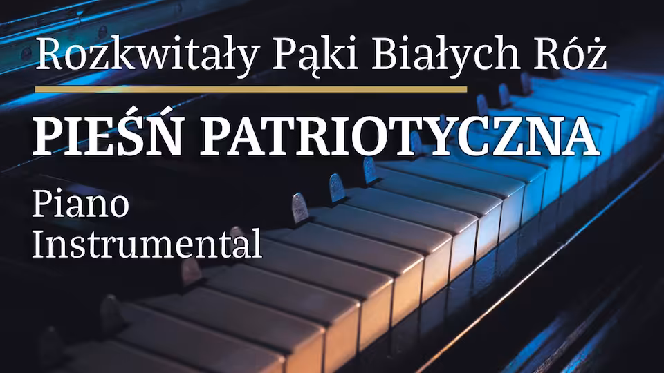 Rozkwitały pąki białych róż