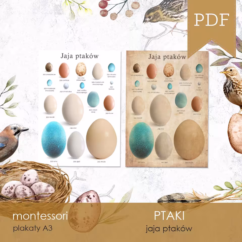 Ptaki - Jaja - Plakaty