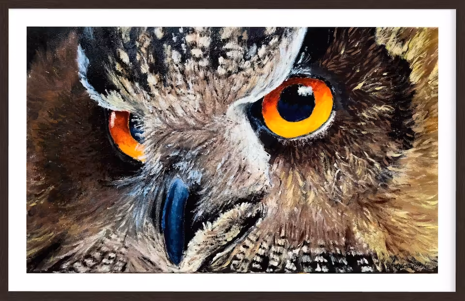 Sowie spojrzenie No.1 | Plakat 70x100