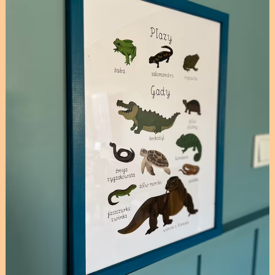Płazy i Gady - plakat PDF