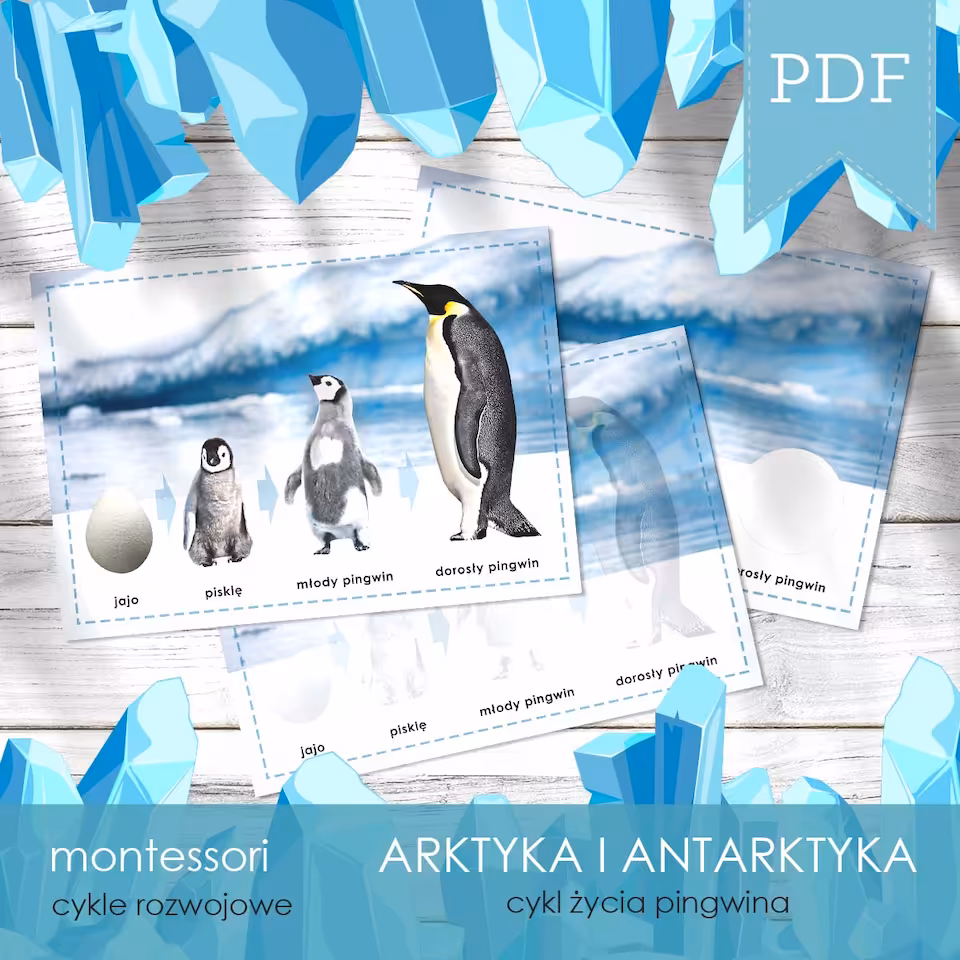 Arktyka i Antarktyka - Cykl życia pingwina