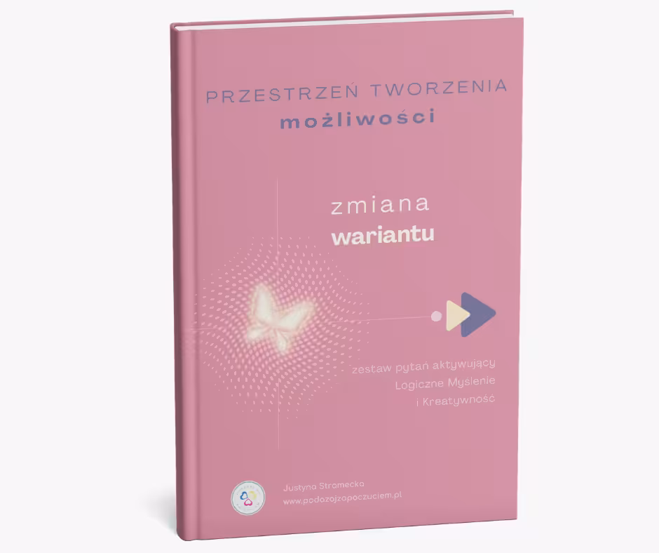 PRZESTRZEŃ TWORZENIA możliwości - zmiana wariantu