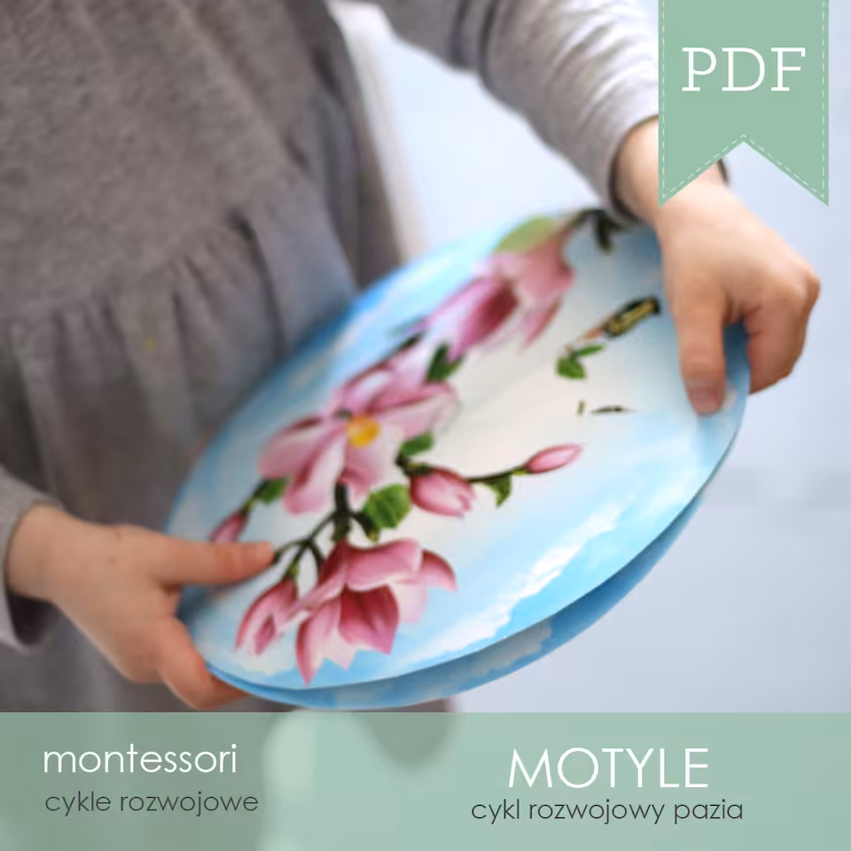 Motyle - Cykl rozwojowy motyla 3D