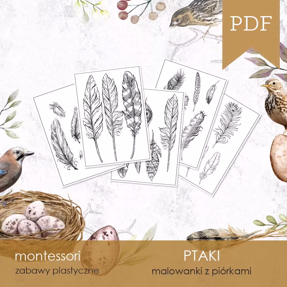 Ptaki - Pióra - Malowanki