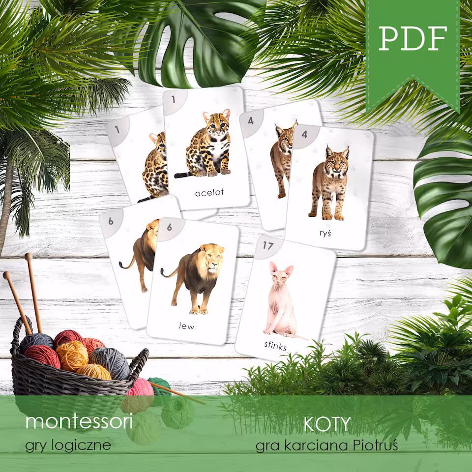 Koty - Gra karciana