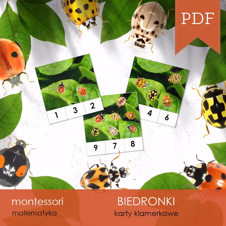 Biedronki - Karty klamerkowe