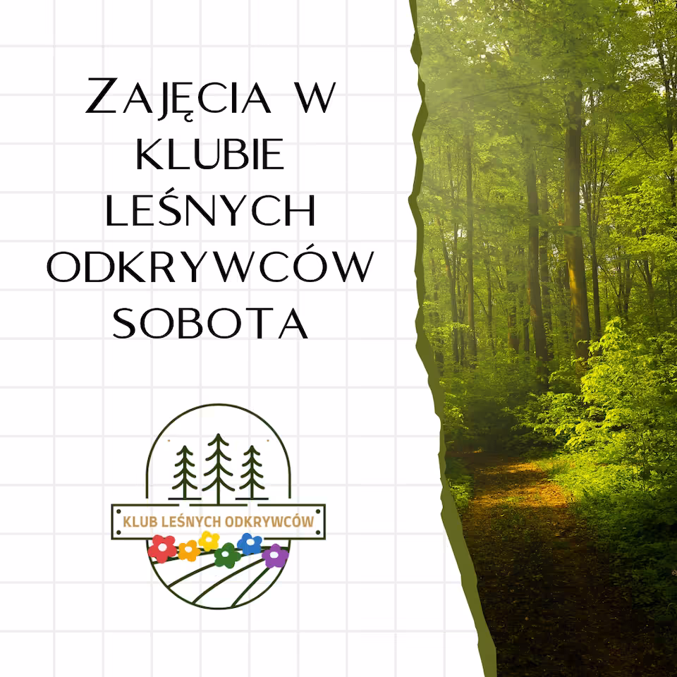 Zajęcia w Klubie Leśnych odkrywców