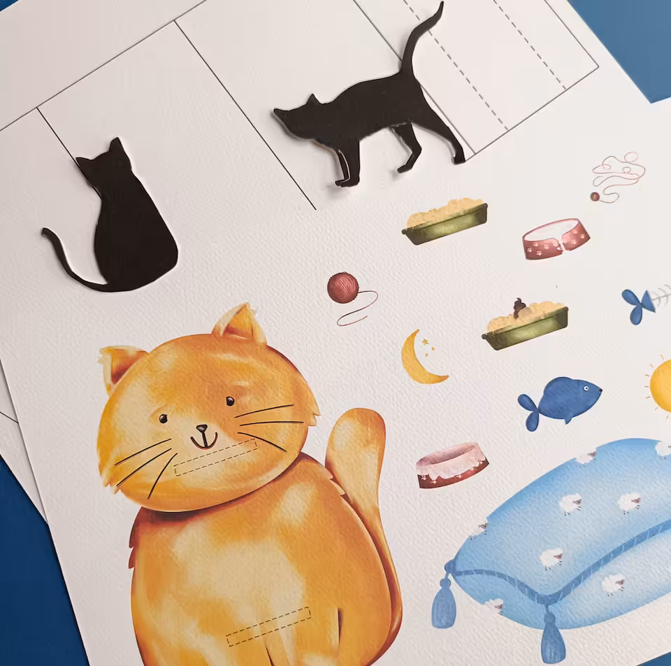 😺 Kotek Niespodzianka